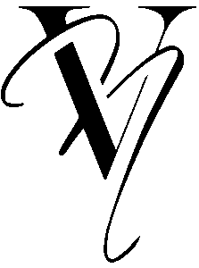 Bright Vibes logo