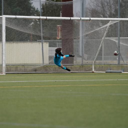 Goalkeeper in a teal uniform diving across the goal toward the ball during a soccer match